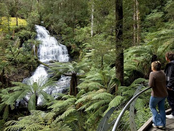 Great Ocean Road Discovery Day Tour